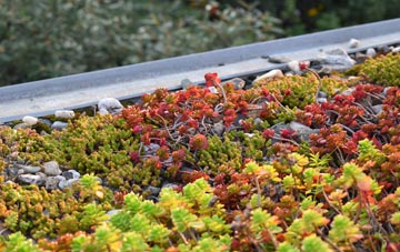 the cost of Navestock Heath green roof installation