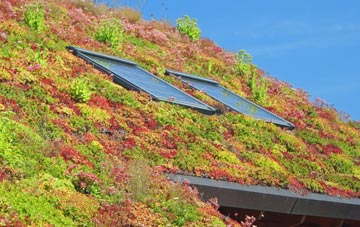 Navestock Heath living roof systems